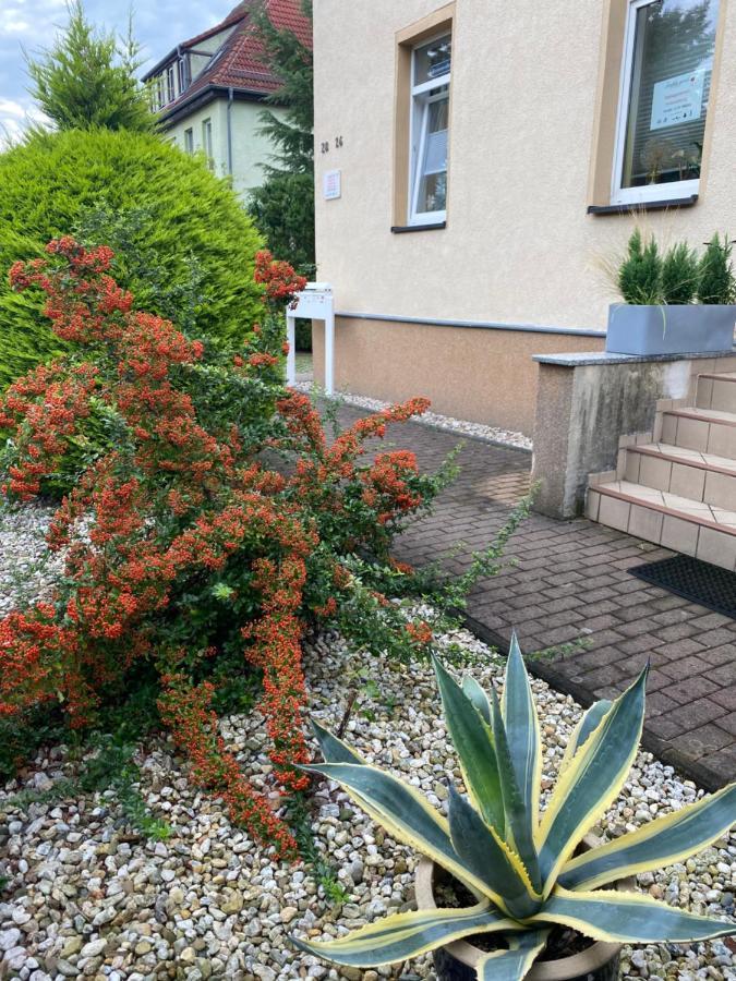 Simply Good Appartment Borna Exterior foto